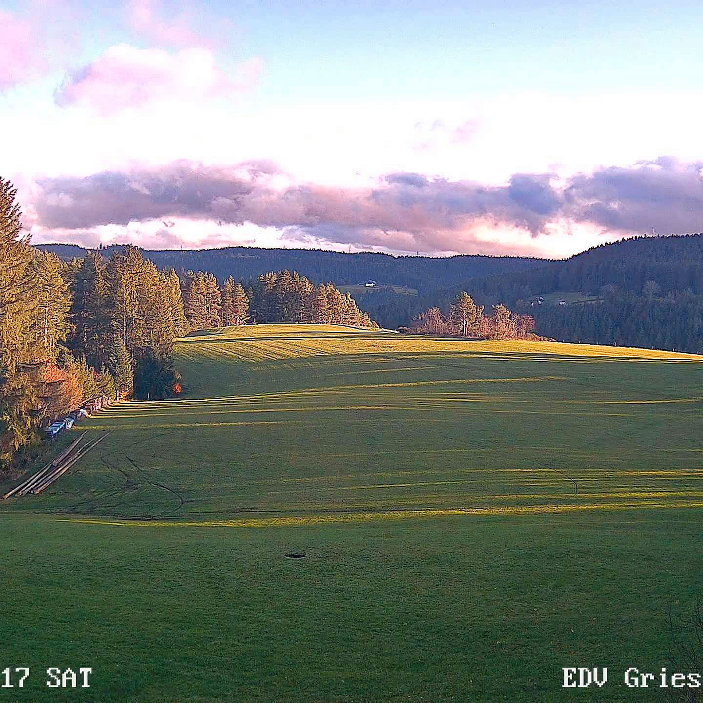 2022 11 19 Moos 0539