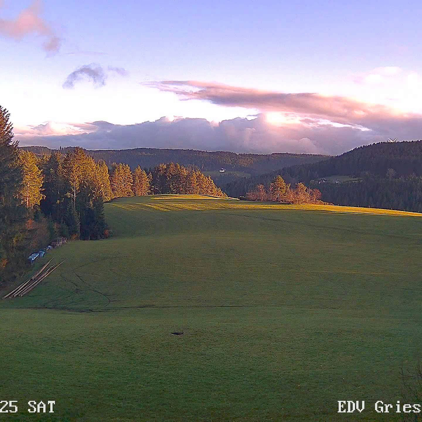 2022 11 19 Moos 0567