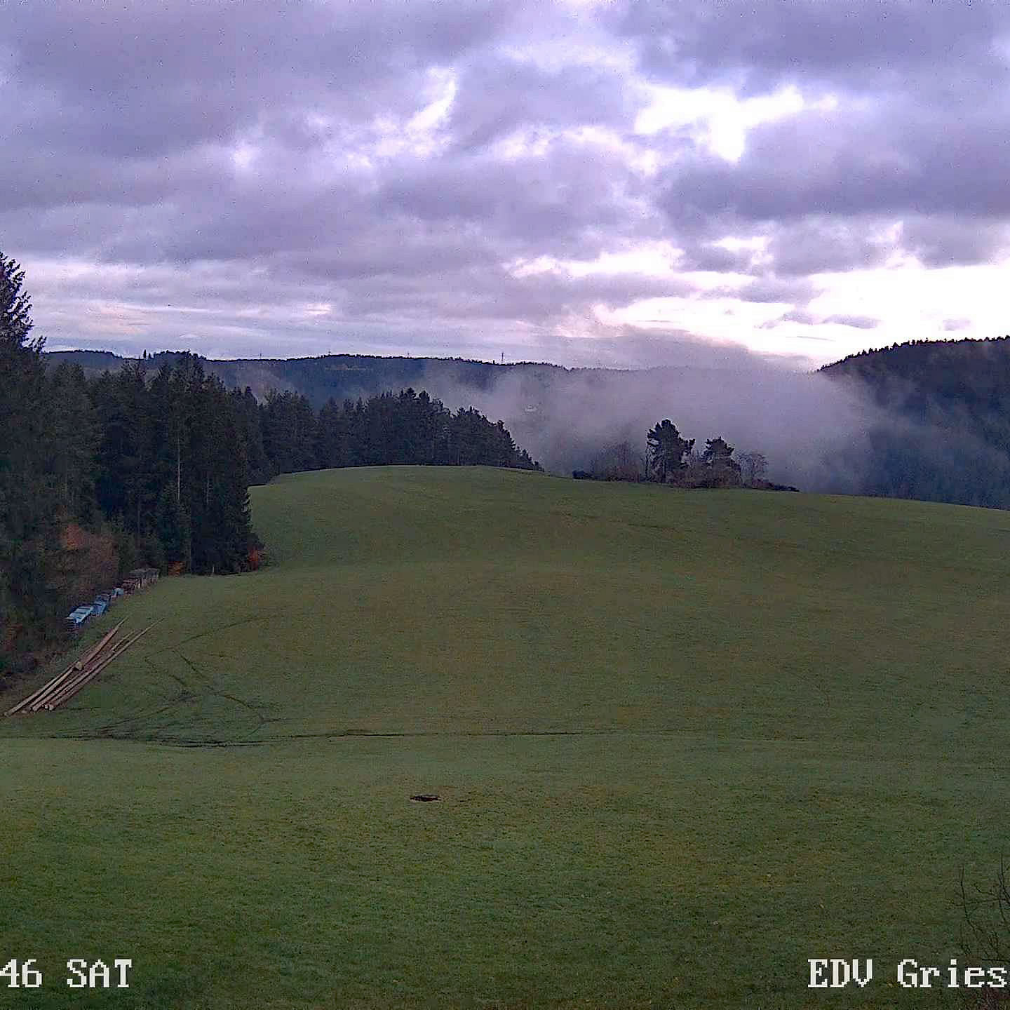 2022 11 19 Moos 0636