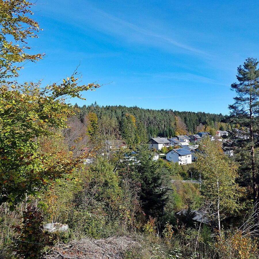 Rund um den Ferienpark in Tennenbronn 01