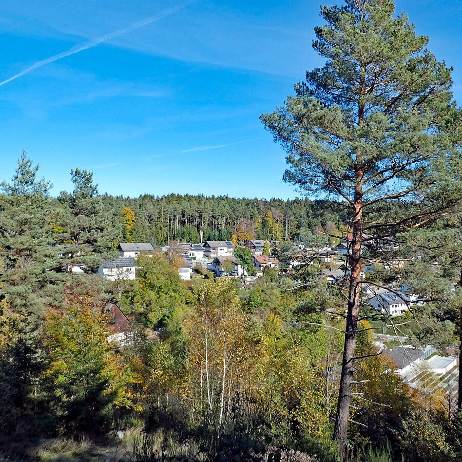 Rund um den Ferienpark in Tennenbronn 02