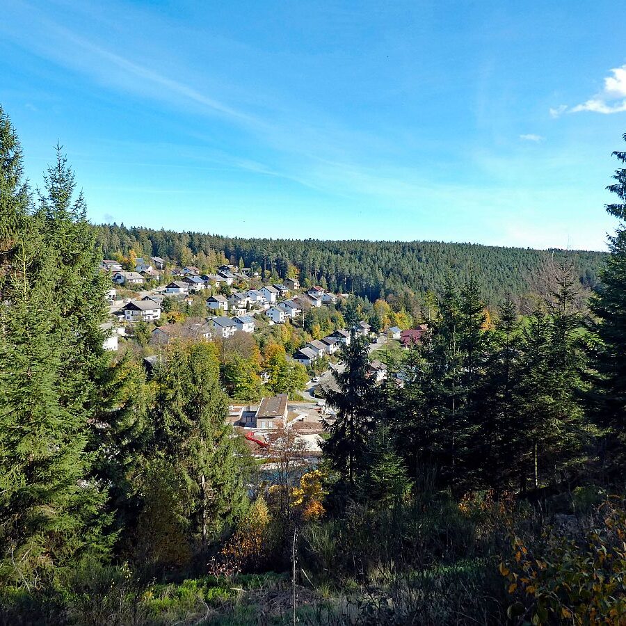 Rund um den Ferienpark in Tennenbronn 03