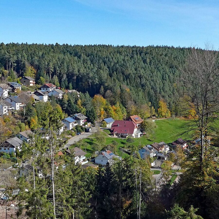 Rund um den Ferienpark in Tennenbronn 05