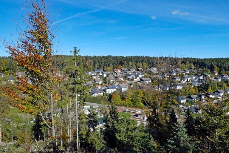 Rund um den Ferienpark in Tennenbronn 07