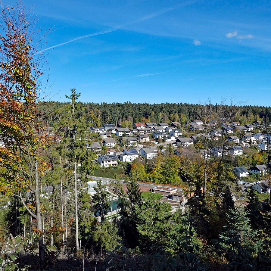 Rund um den Ferienpark in Tennenbronn 07