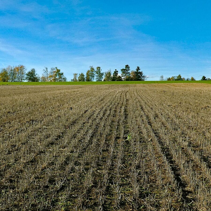Rund um den Ferienpark in Tennenbronn 13