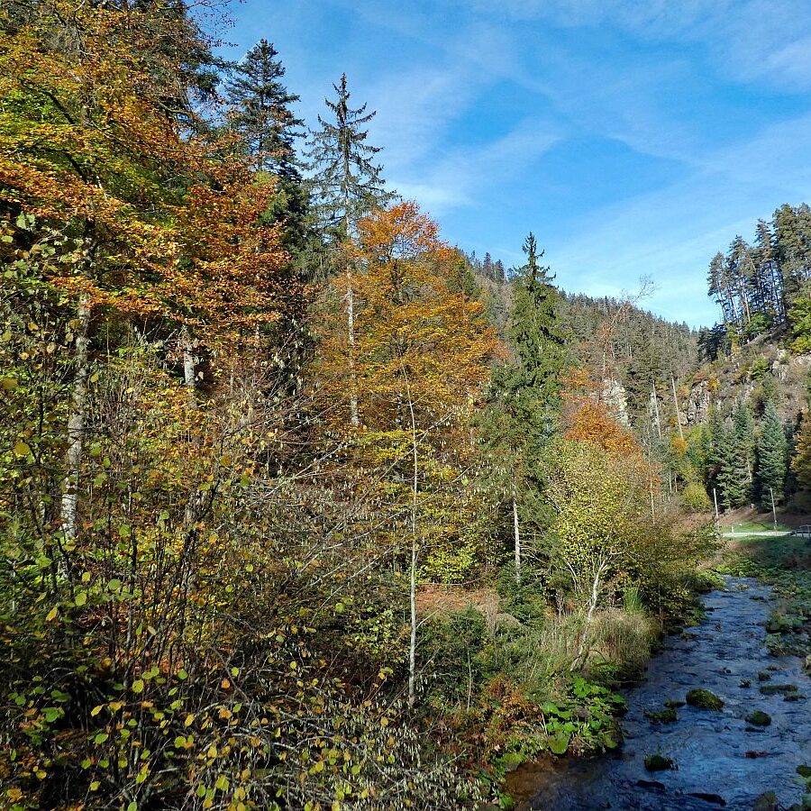 Tennenbronn Bernecktal Herbst 02