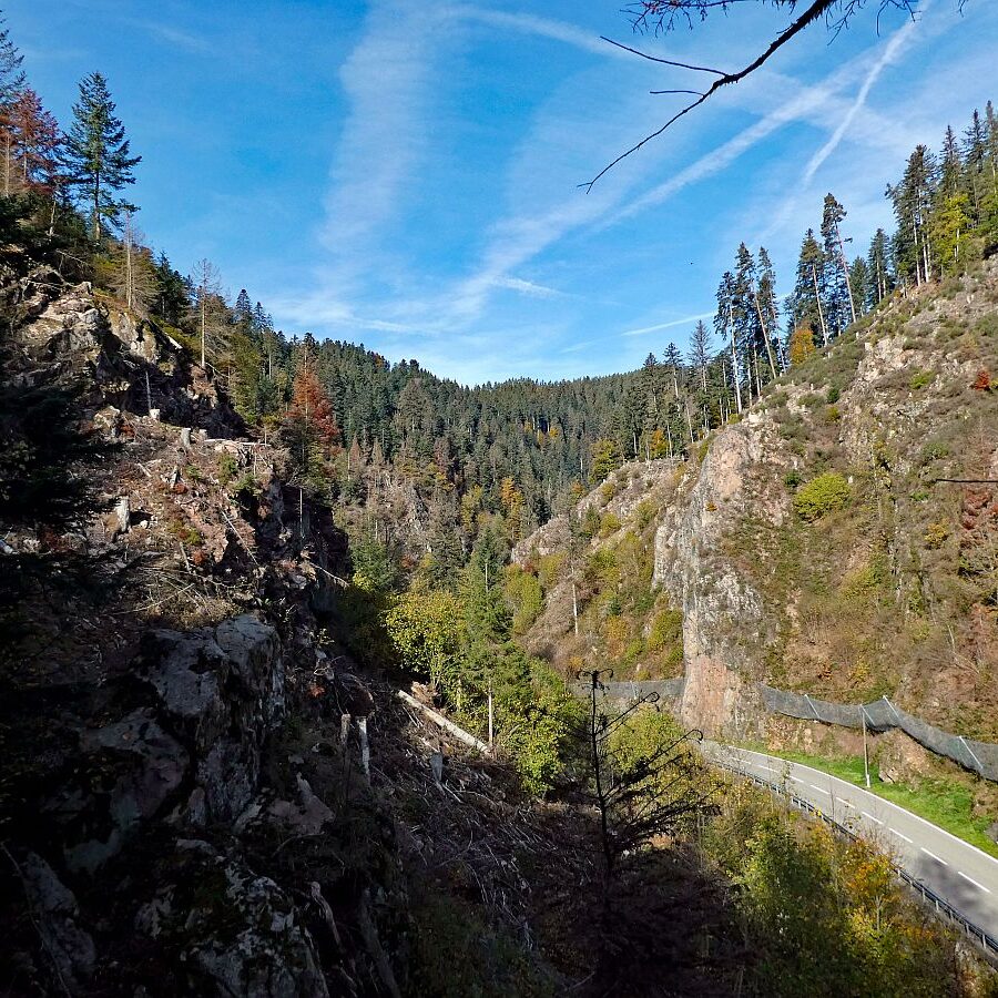 Tennenbronn Bernecktal Herbst 03