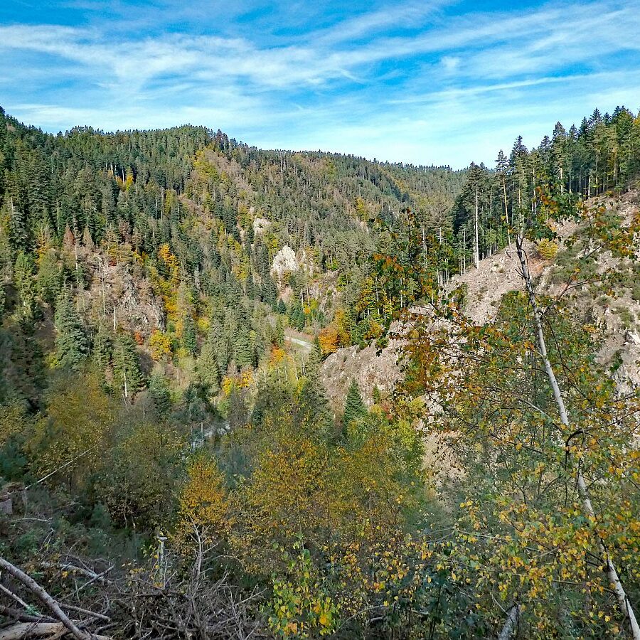 Tennenbronn Bernecktal Herbst 04