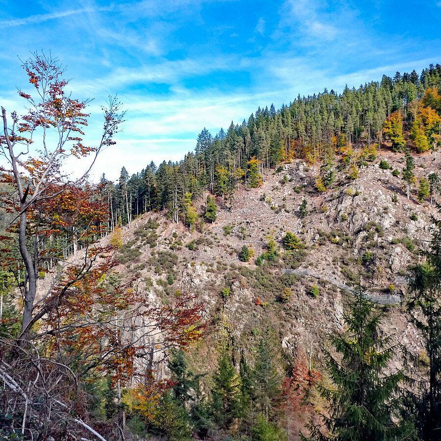 Tennenbronn Bernecktal Herbst 05