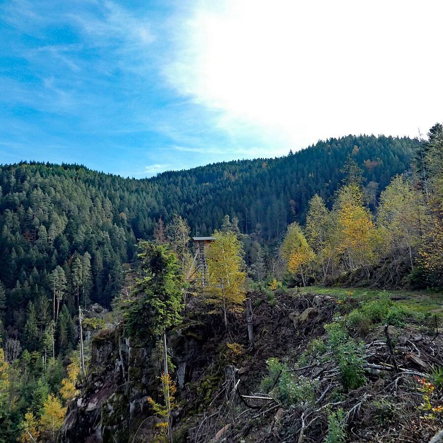 Tennenbronn Bernecktal Herbst 06