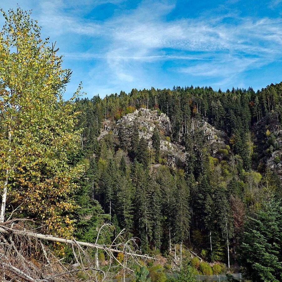 Tennenbronn Bernecktal Herbst 07