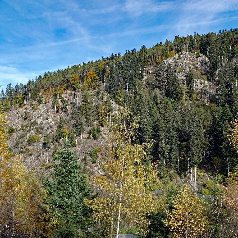 Tennenbronn Bernecktal Herbst 08