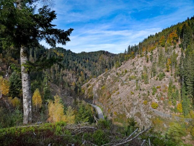 Tennenbronn Bernecktal Herbst 09 Tennenbronn Bernecktal Herbst 09