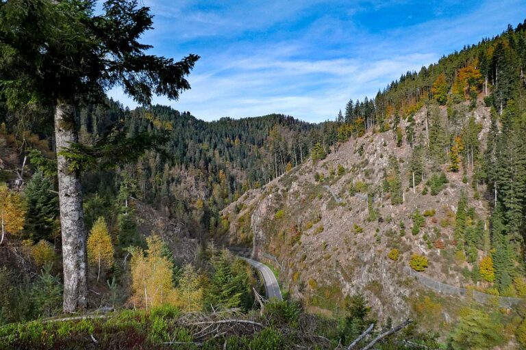 Tennenbronn Bernecktal Herbst 09