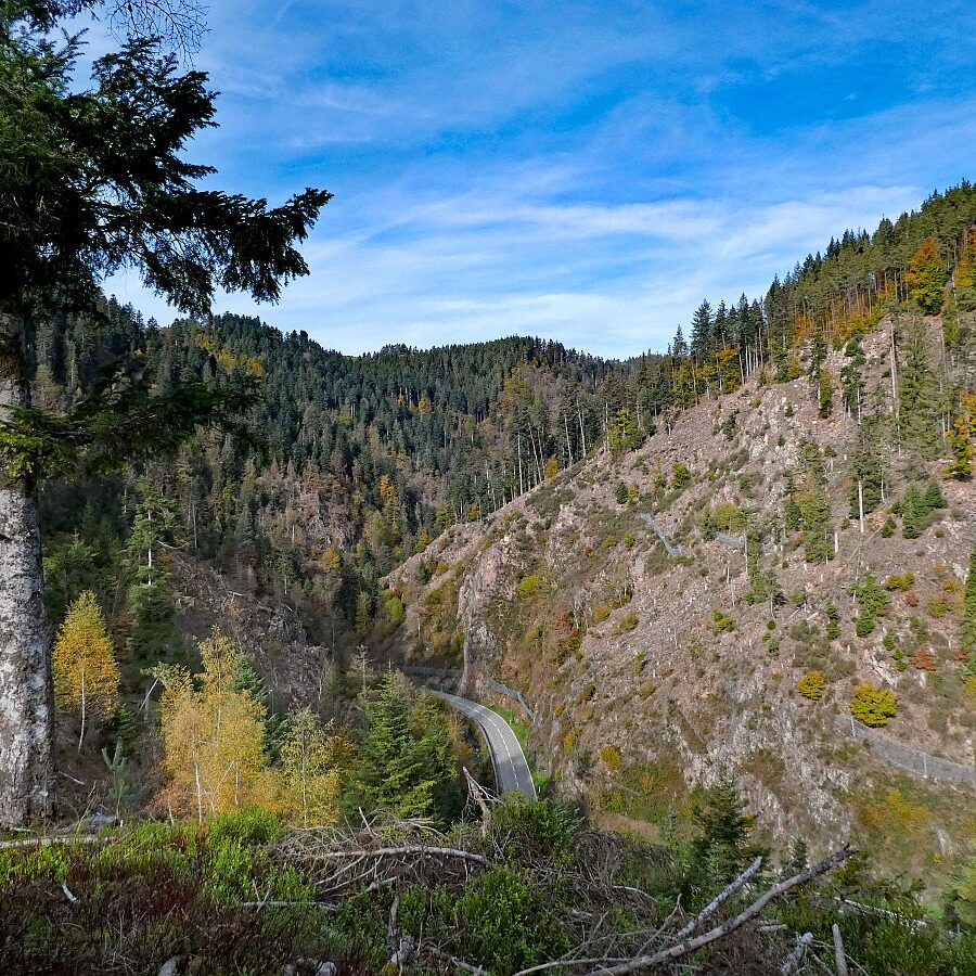 Tennenbronn Bernecktal Herbst 09