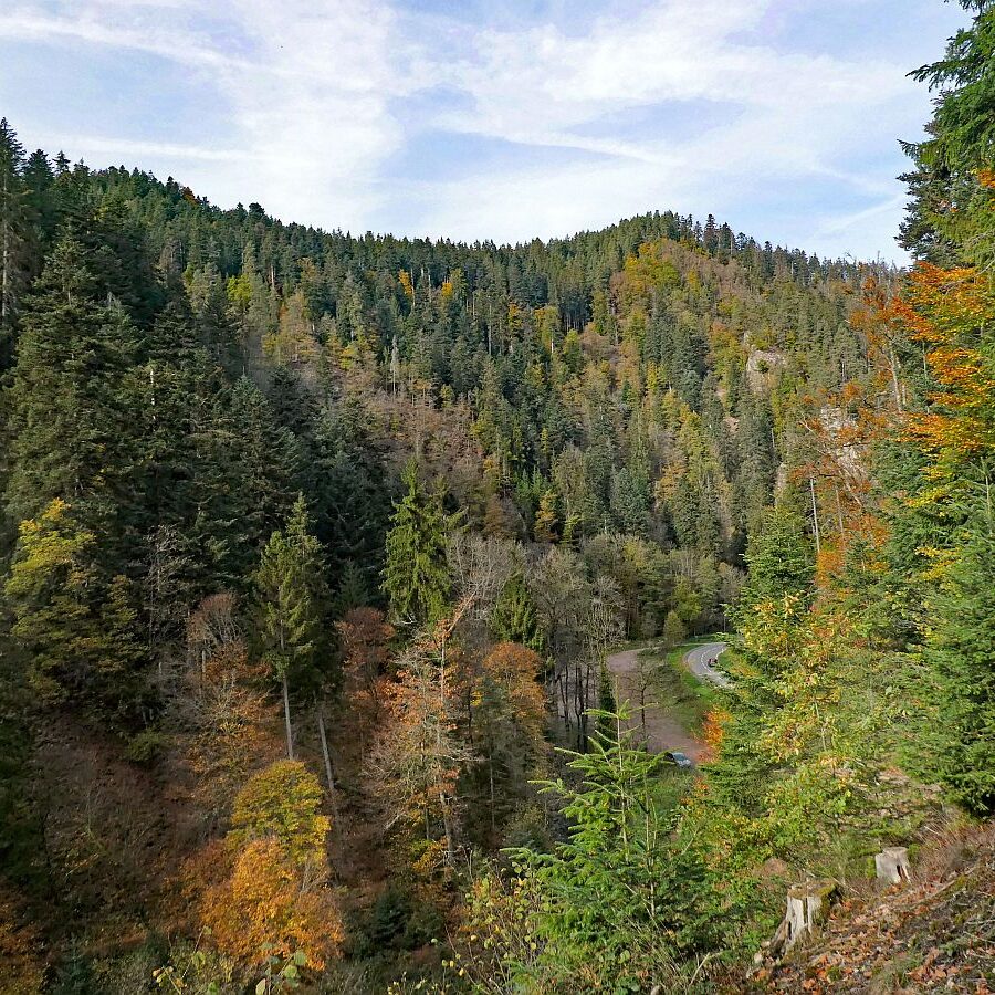 Tennenbronn Bernecktal Herbst 15