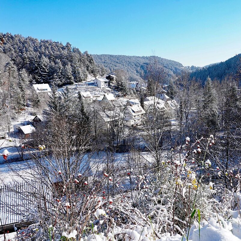Erster Schnee in Tennenbronn 01