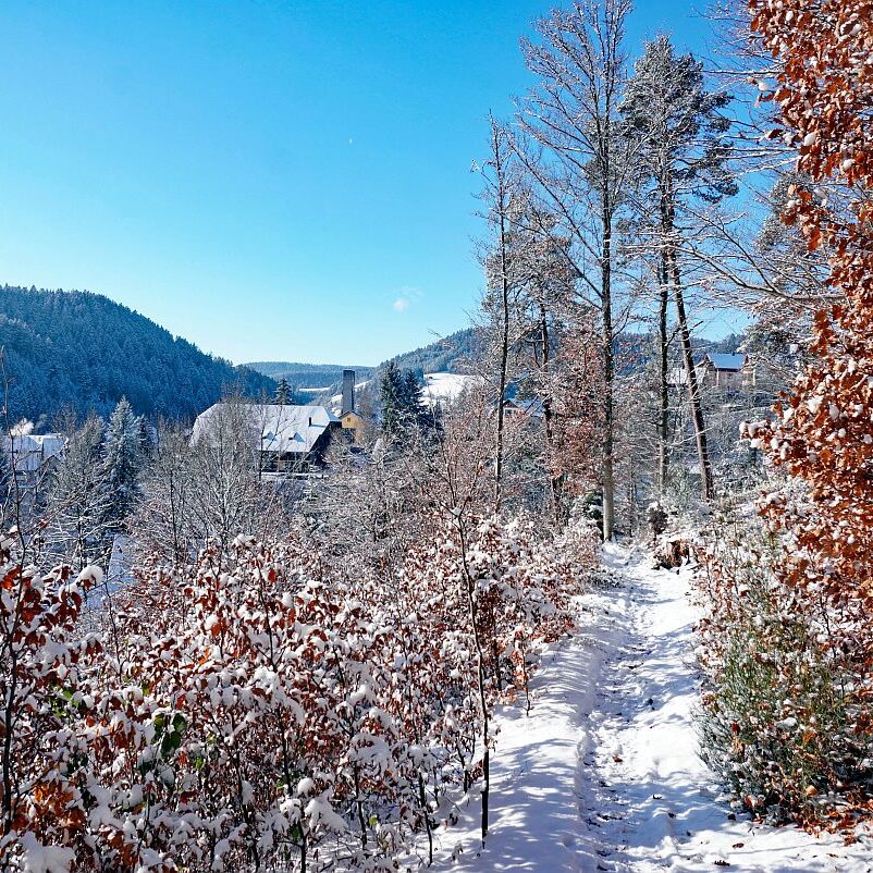 Erster Schnee in Tennenbronn 02