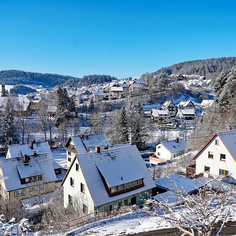 Erster Schnee in Tennenbronn 03