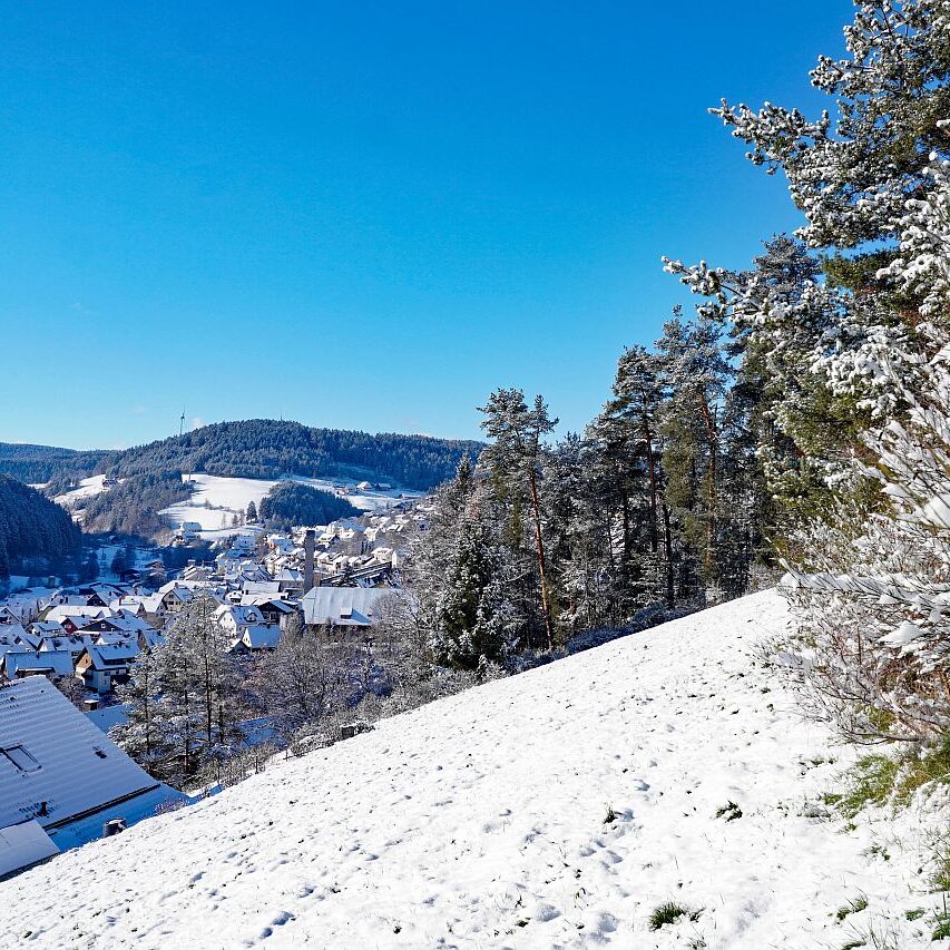 Erster Schnee in Tennenbronn 04
