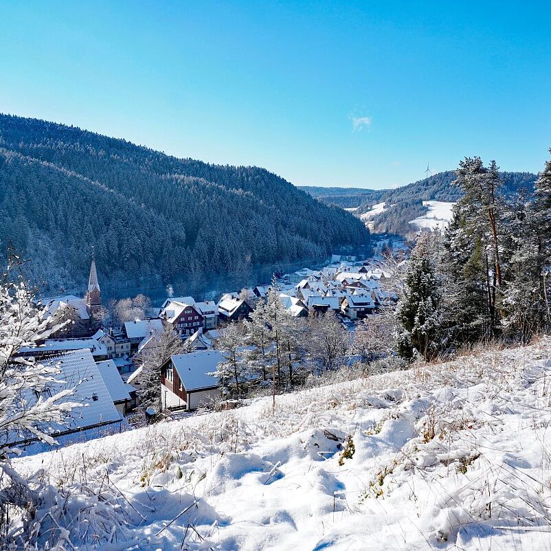 Erster Schnee in Tennenbronn 05