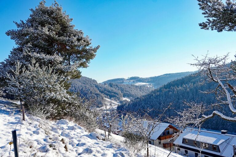 Erster Schnee in Tennenbronn 06