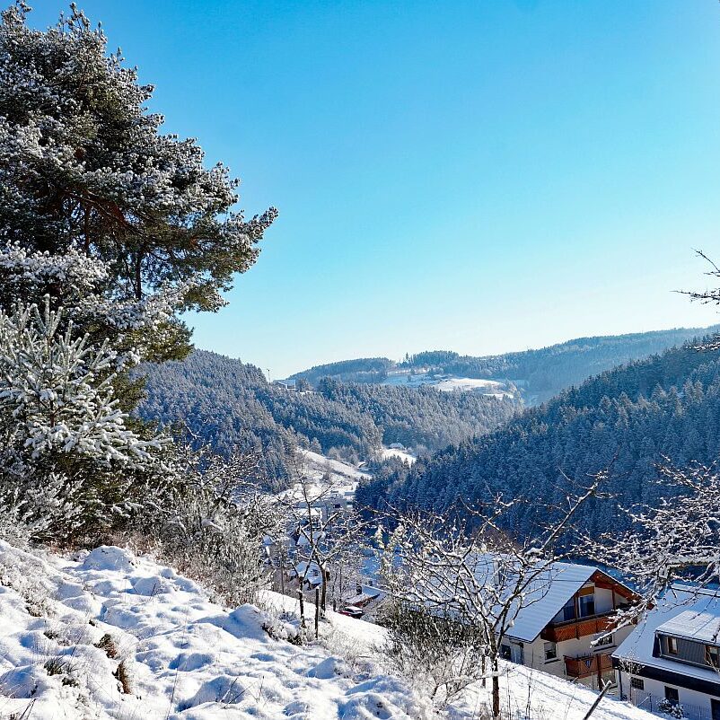 Erster Schnee in Tennenbronn 06
