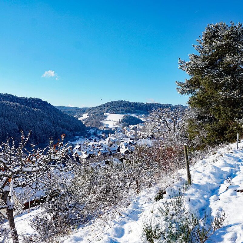 Erster Schnee in Tennenbronn 08