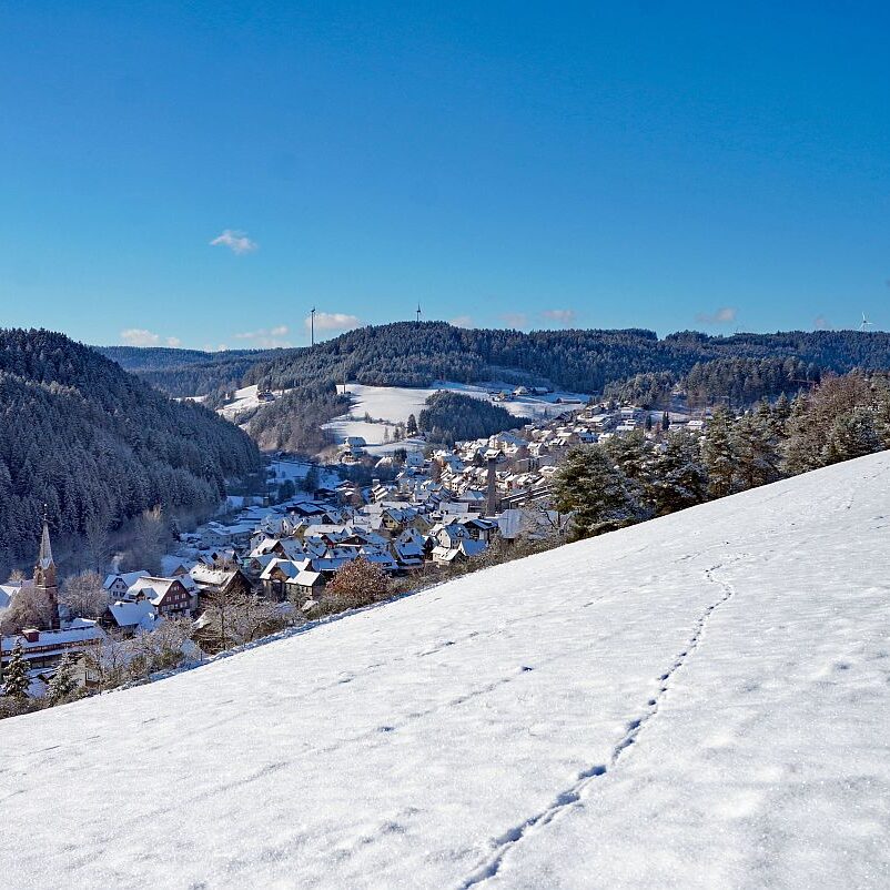 Erster Schnee in Tennenbronn 09