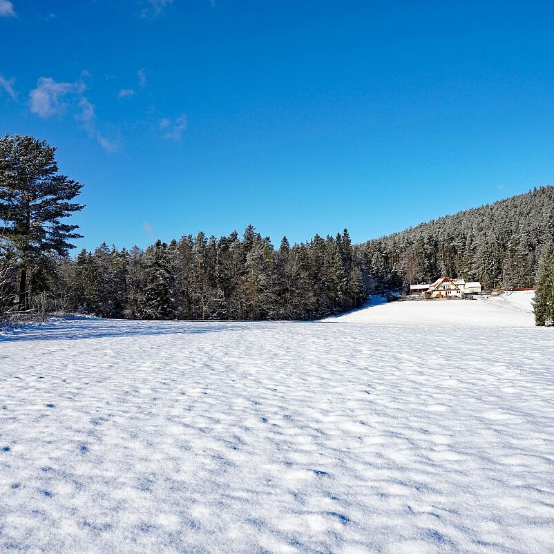 Erster Schnee in Tennenbronn 10