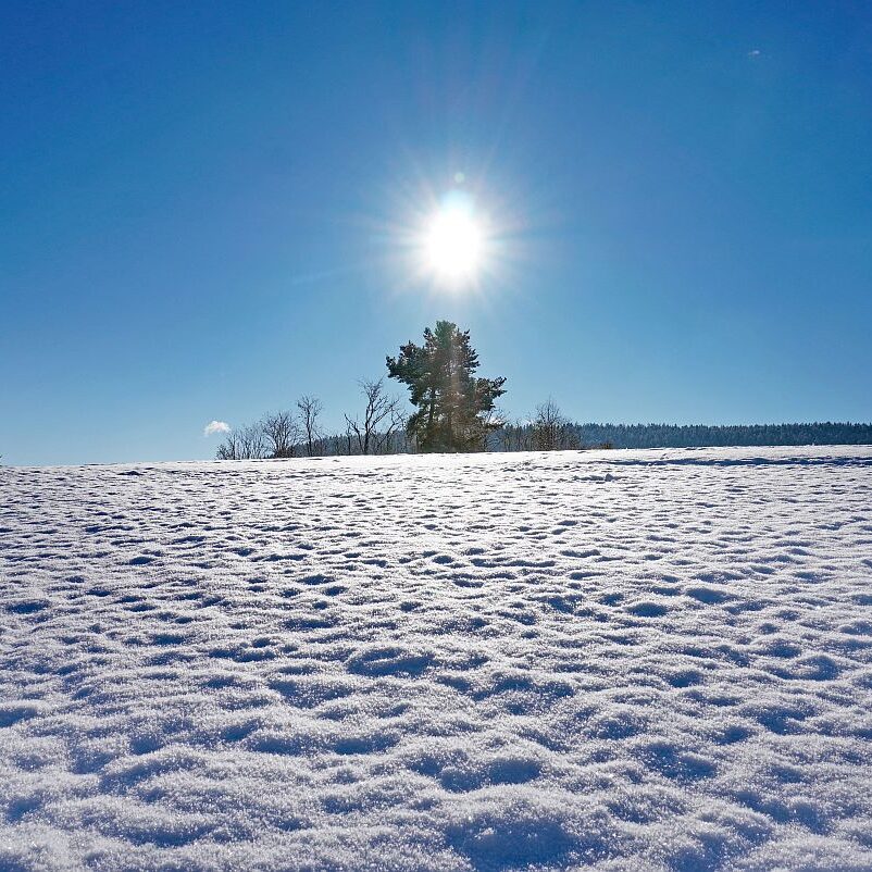 Erster Schnee in Tennenbronn 11