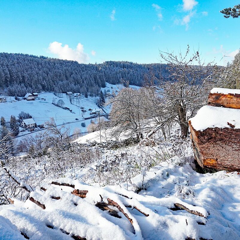 Erster Schnee in Tennenbronn 13