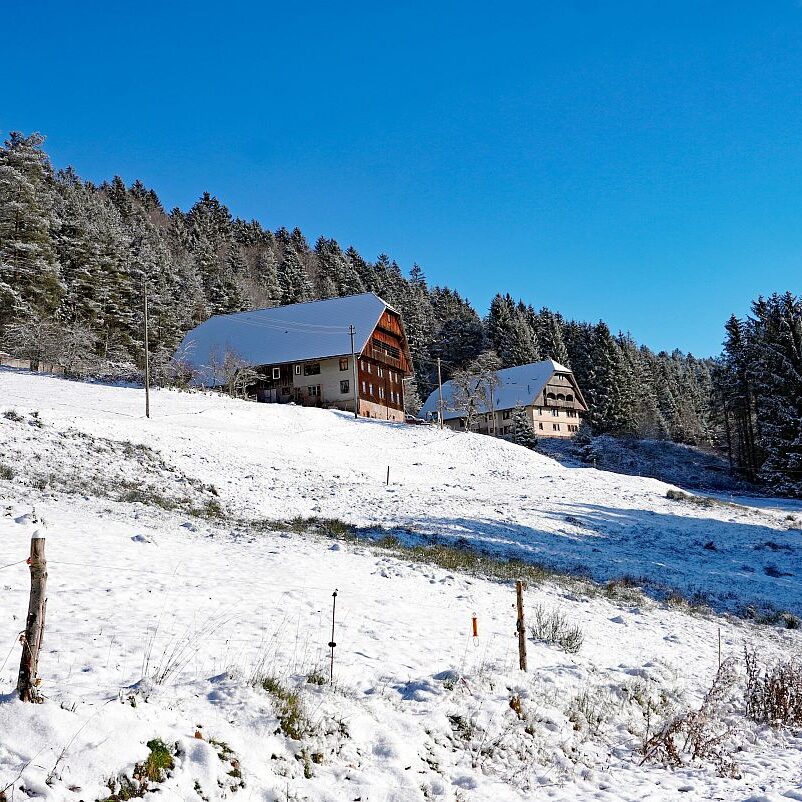 Erster Schnee in Tennenbronn 15