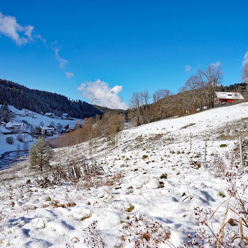 Erster Schnee in Tennenbronn 16