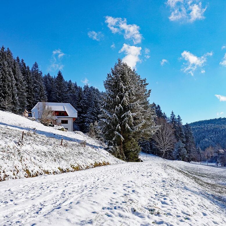 Erster Schnee in Tennenbronn 17
