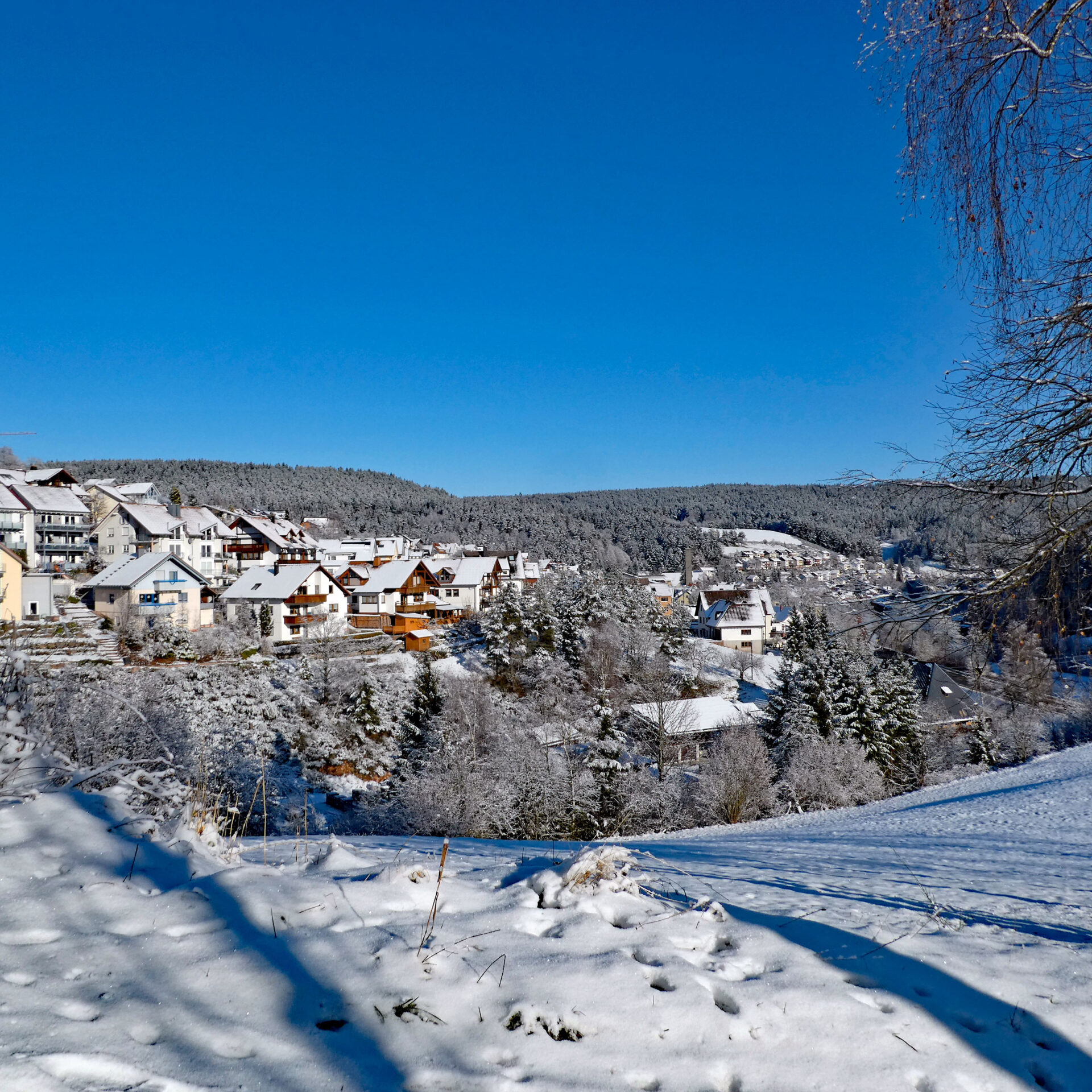 Schnee in Tennenbronn Bapist Unterm Wald Lindehiesle Dobel Schwarzenbach 03