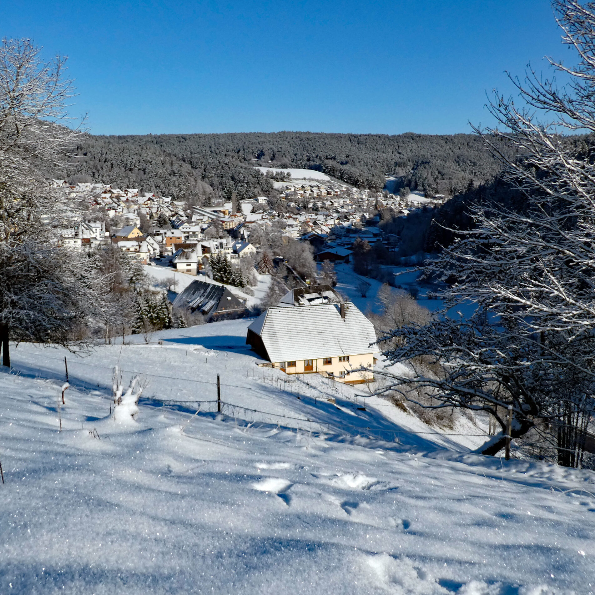 Schnee in Tennenbronn Bapist Unterm Wald Lindehiesle Dobel Schwarzenbach 04