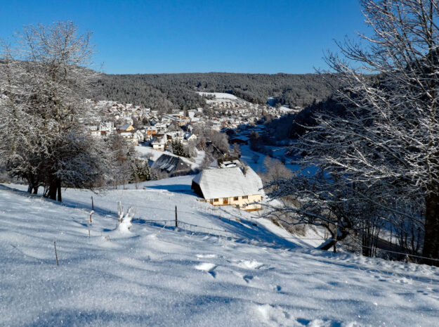 Schnee in Tennenbronn Bapist Unterm Wald Lindehiesle Dobel Schwarzenbach 04 Schnee in Tennenbronn Bapist Unterm Wald Lindehiesle Dobel Schwarzenbach 04