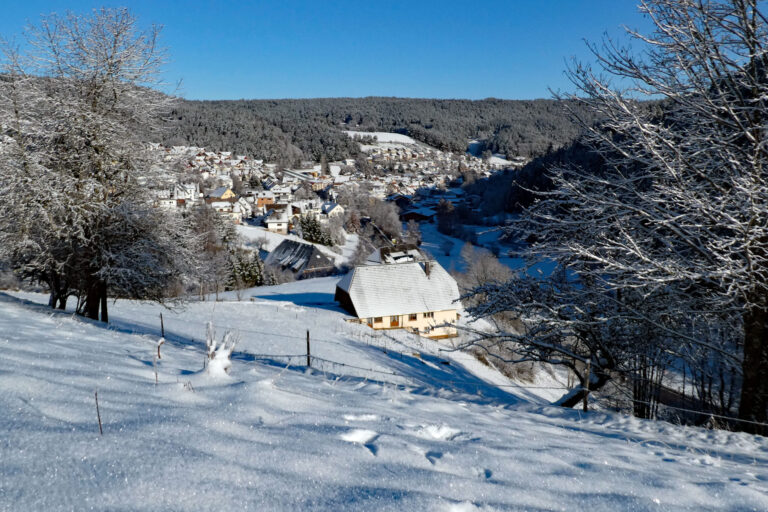 Schnee in Tennenbronn Bapist Unterm Wald Lindehiesle Dobel Schwarzenbach 04