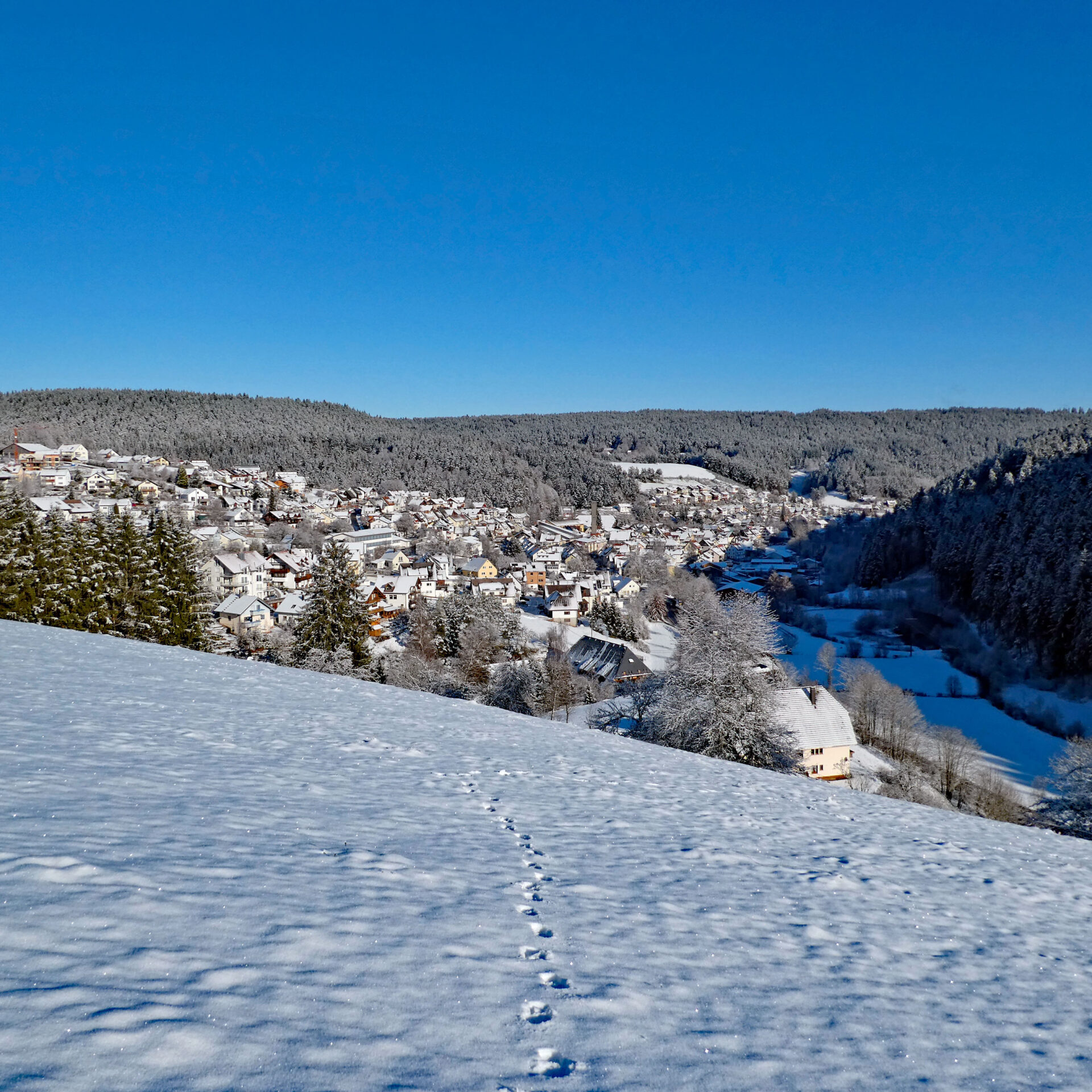 Schnee in Tennenbronn Bapist Unterm Wald Lindehiesle Dobel Schwarzenbach 05