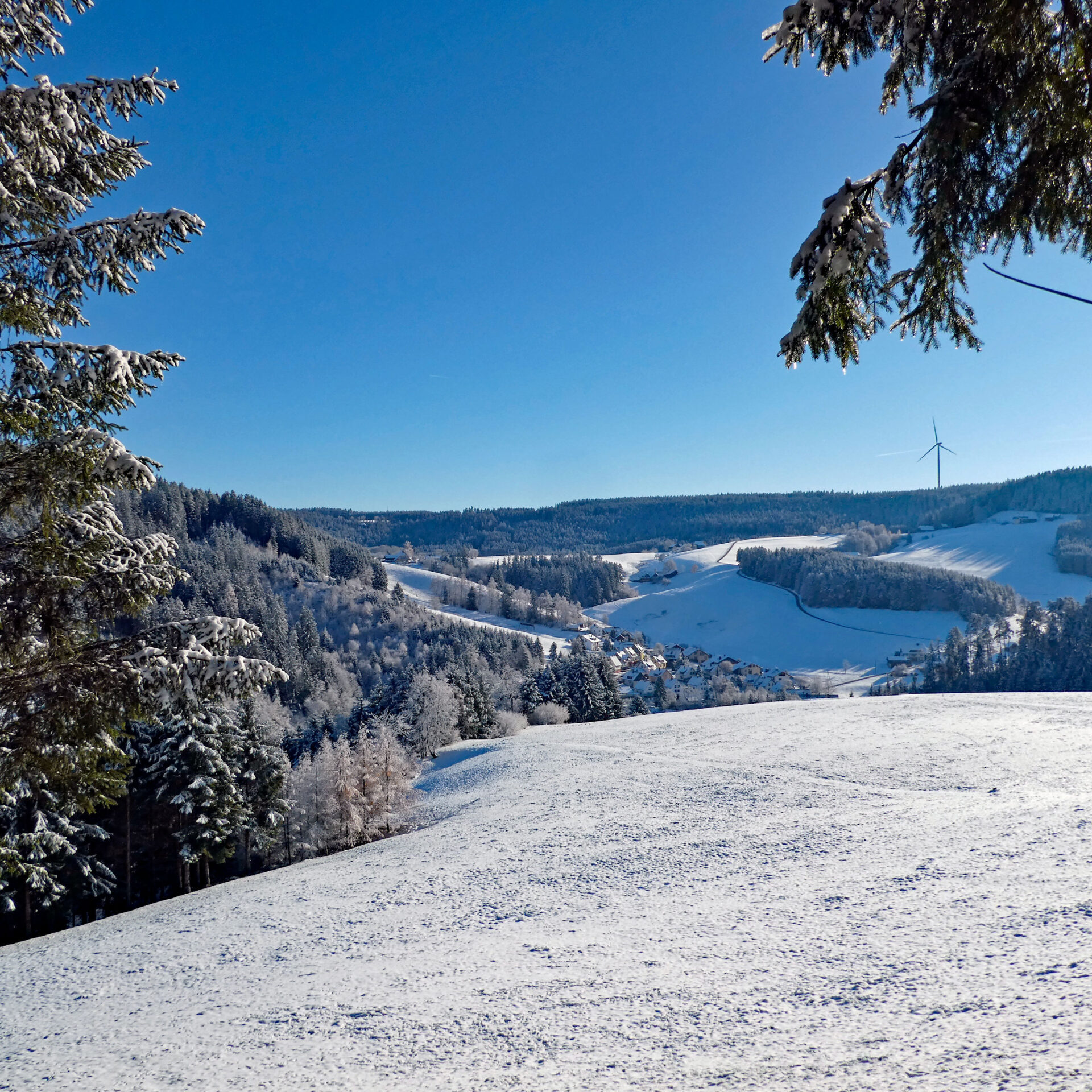 Schnee in Tennenbronn Bapist Unterm Wald Lindehiesle Dobel Schwarzenbach 06