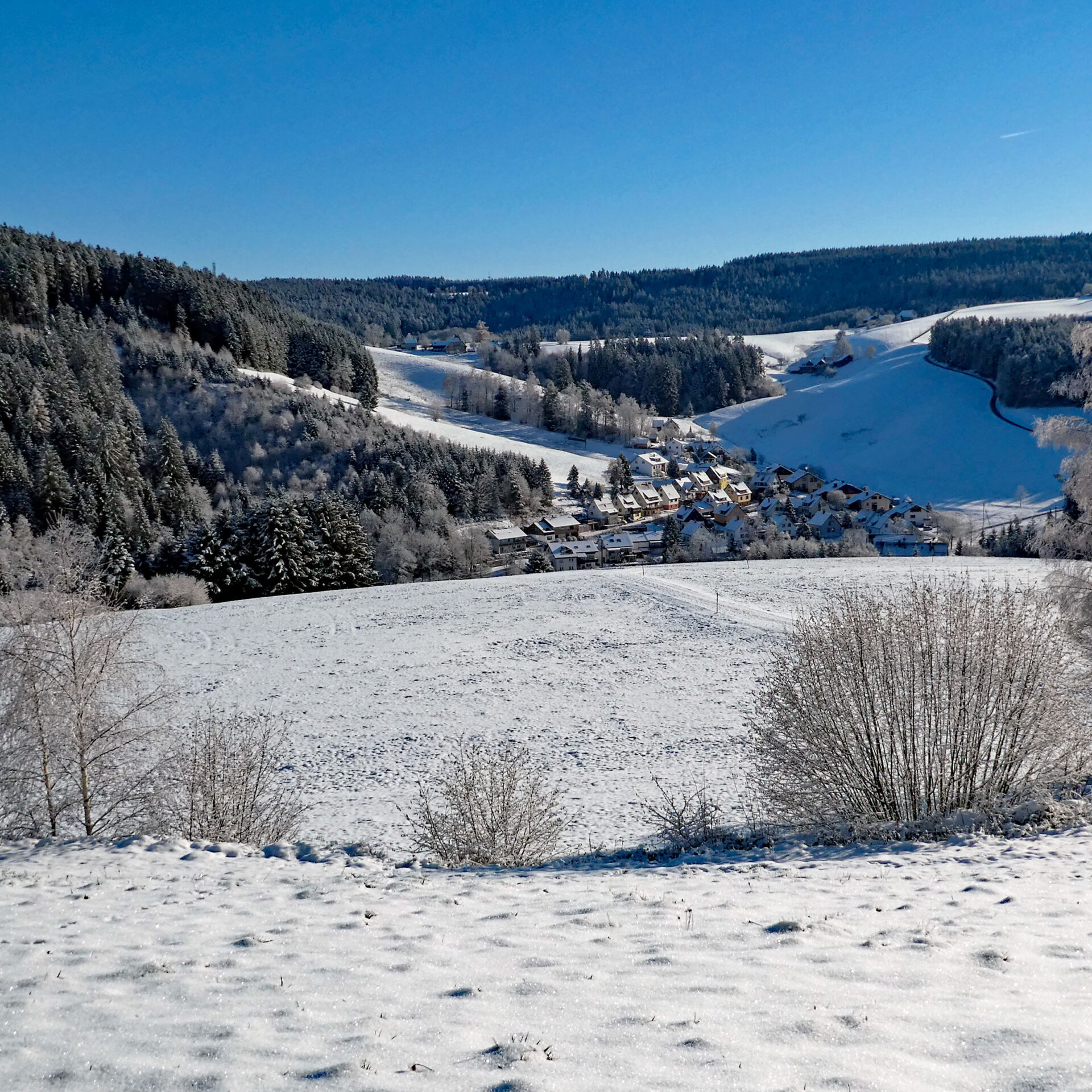 Schnee in Tennenbronn Bapist Unterm Wald Lindehiesle Dobel Schwarzenbach 07