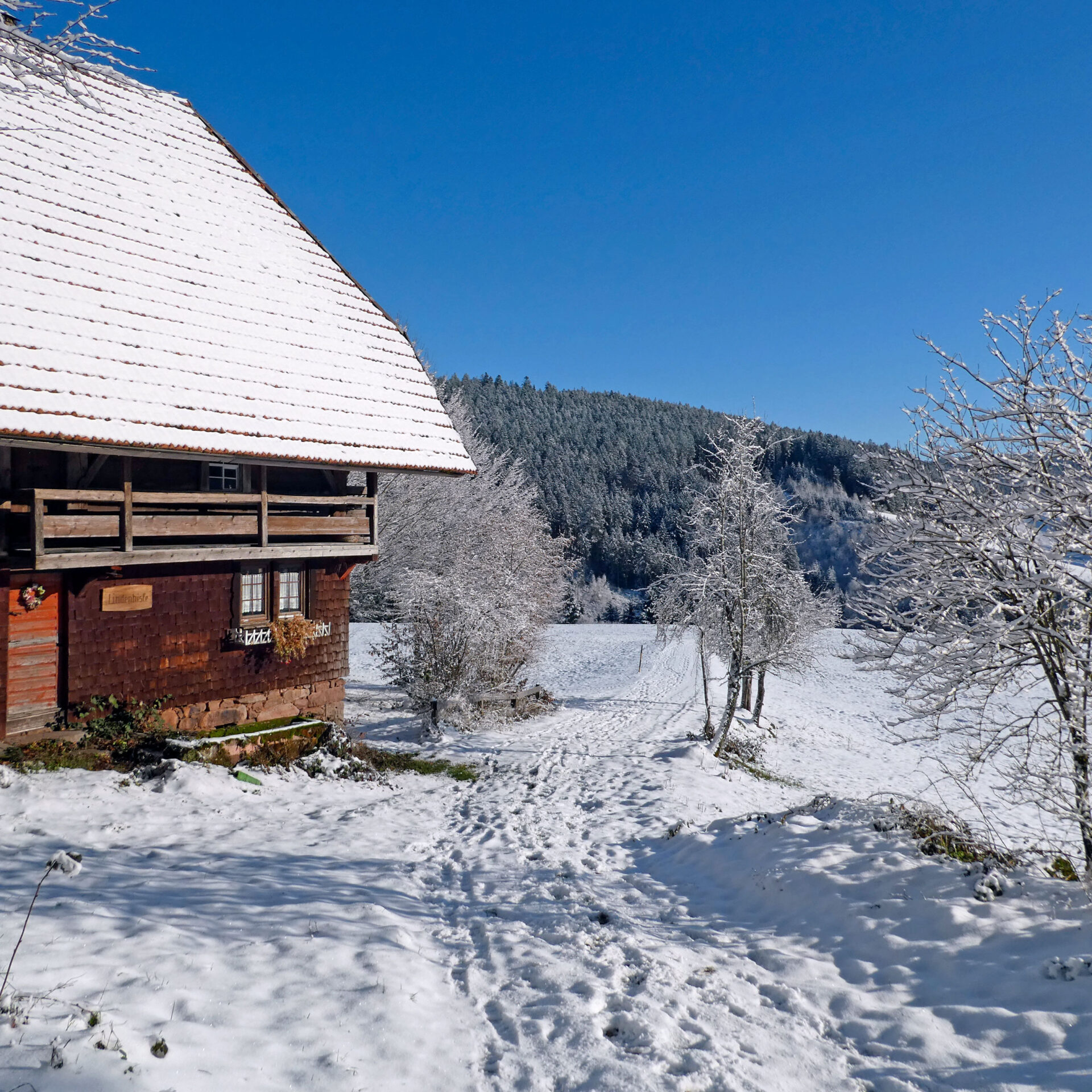 Schnee in Tennenbronn Bapist Unterm Wald Lindehiesle Dobel Schwarzenbach 08