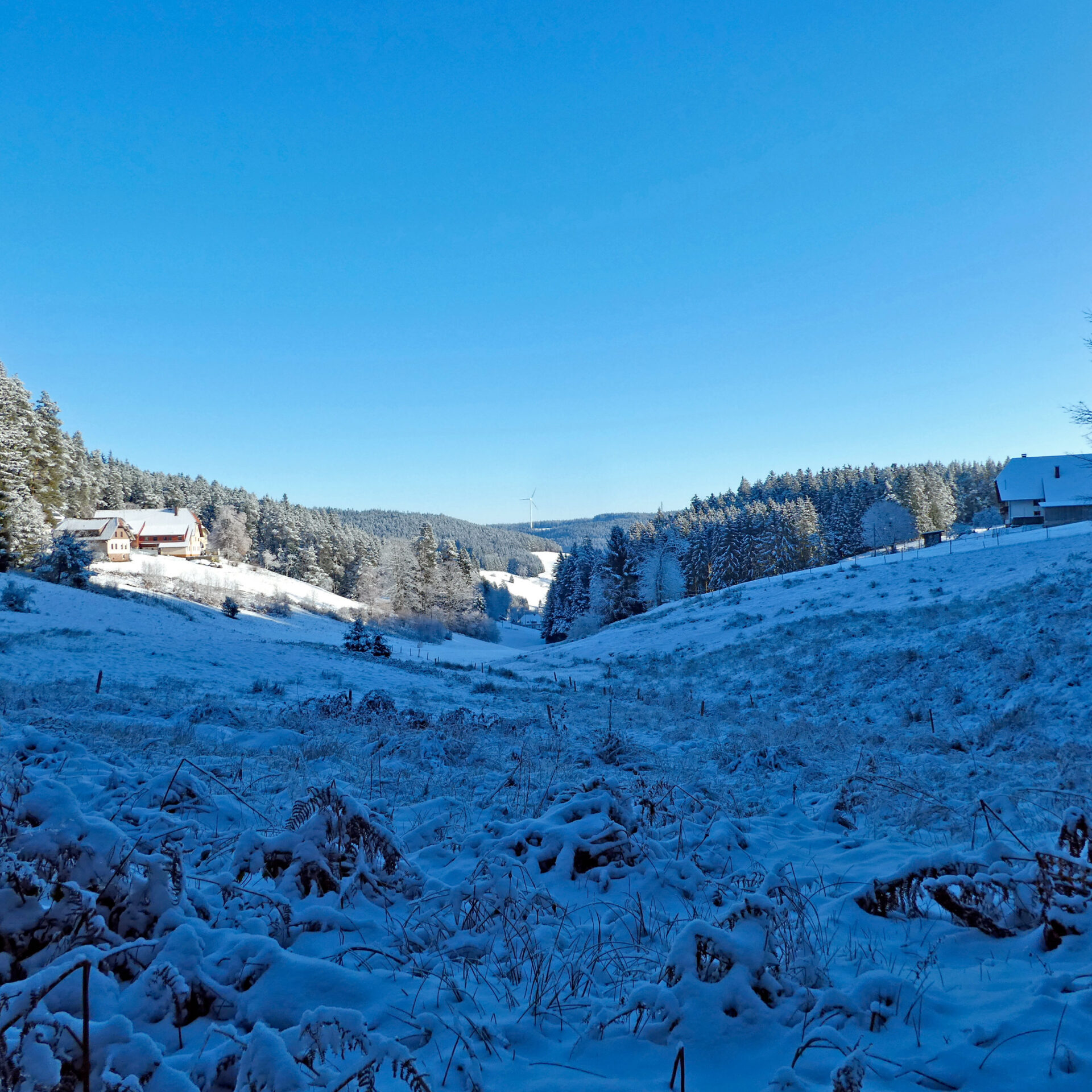 Schnee in Tennenbronn Bapist Unterm Wald Lindehiesle Dobel Schwarzenbach 10