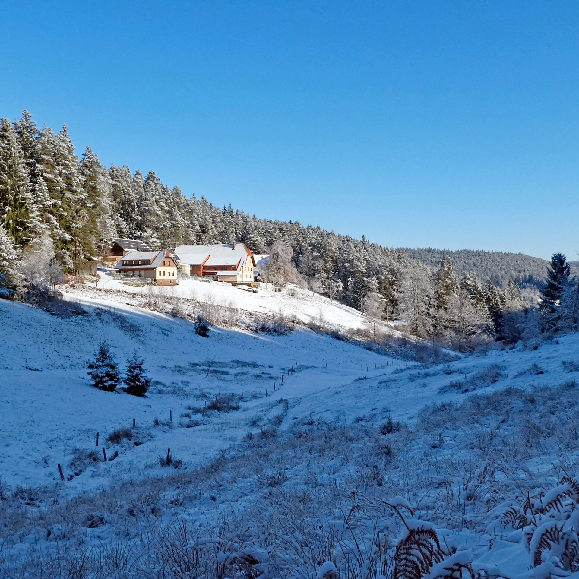 Schnee in Tennenbronn Bapist Unterm Wald Lindehiesle Dobel Schwarzenbach 11