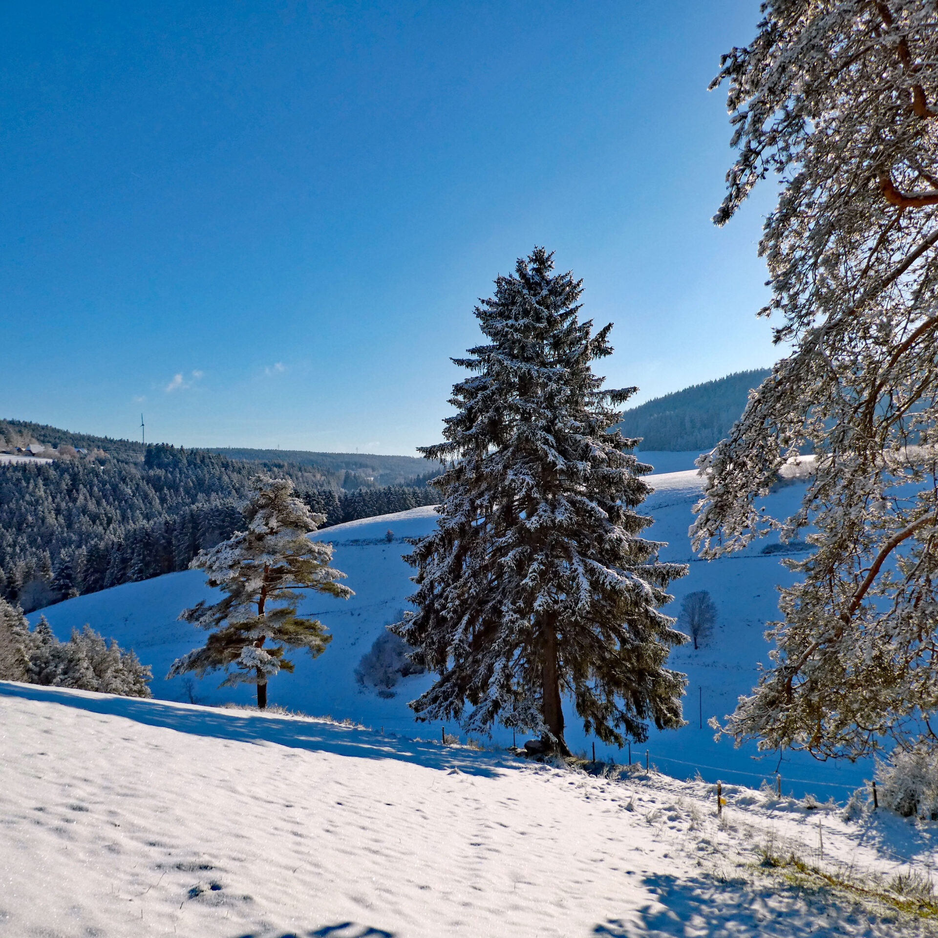 Schnee in Tennenbronn Bapist Unterm Wald Lindehiesle Dobel Schwarzenbach 12