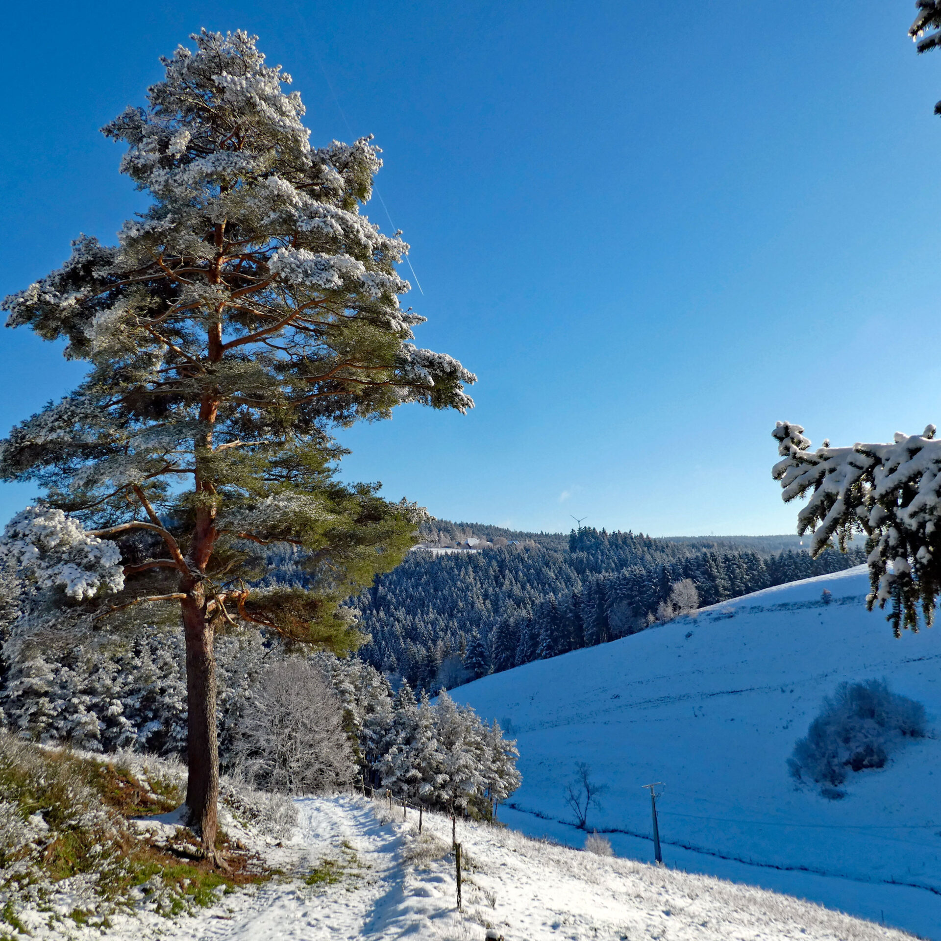Schnee in Tennenbronn Bapist Unterm Wald Lindehiesle Dobel Schwarzenbach 13