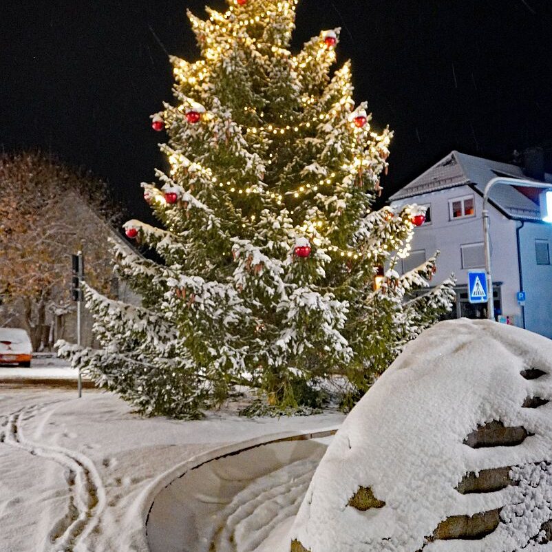 Schnee in Tennenbronn am 3 Advent 3