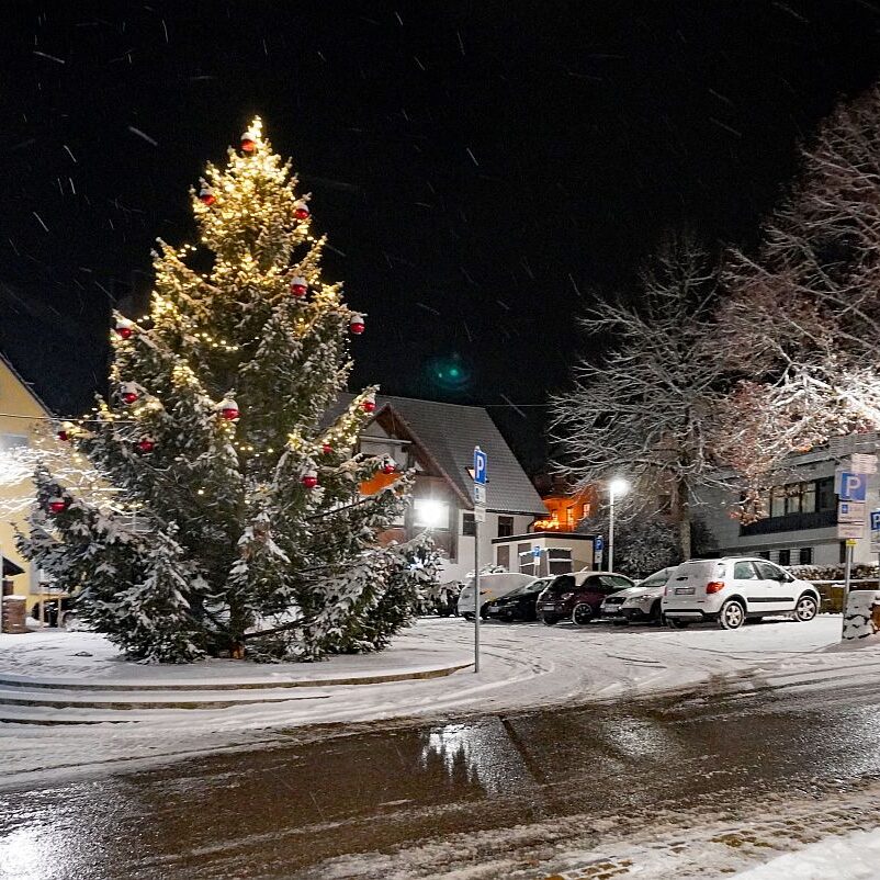 Schnee in Tennenbronn am 3 Advent 4